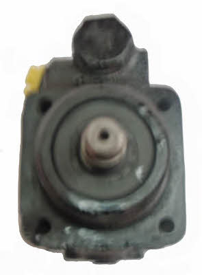 Lizarte 04.45.0320 Hydraulic Pump, steering system 04450320