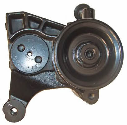 Lizarte 04.88.0130 Hydraulic Pump, steering system 04880130
