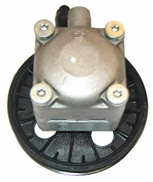 Hydraulic Pump, steering system Lizarte 04.88.0302