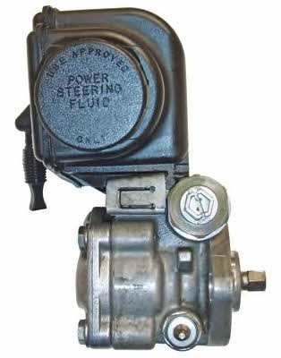 Hydraulic Pump, steering system Lizarte 04.94.0215