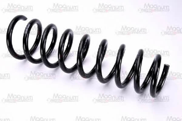 Buy Magnum technology SA075MT at a low price in United Arab Emirates!