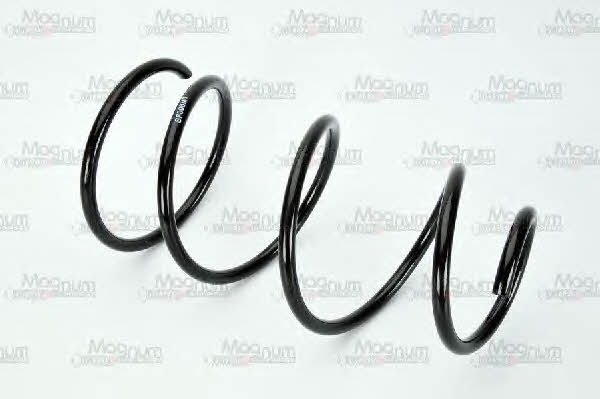 Buy Magnum technology SF008MT at a low price in United Arab Emirates!