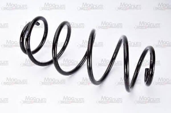 Front coil spring Magnum technology SG054MT