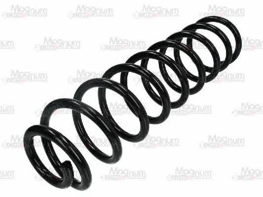 Magnum technology SM095MT Front coil spring SM095MT SM095MT Magnum technology Front coil spring