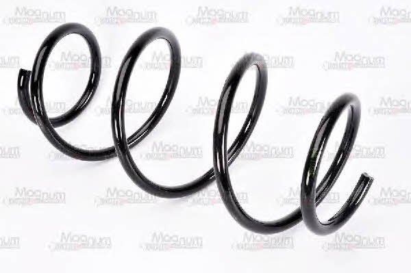 Buy Magnum technology SR013MT at a low price in United Arab Emirates!