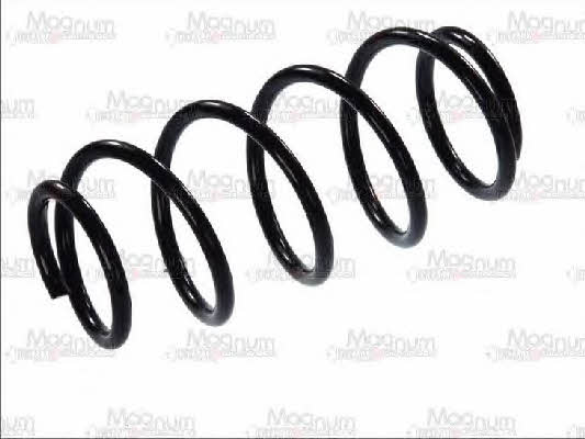 Front coil spring Magnum technology SX064MT