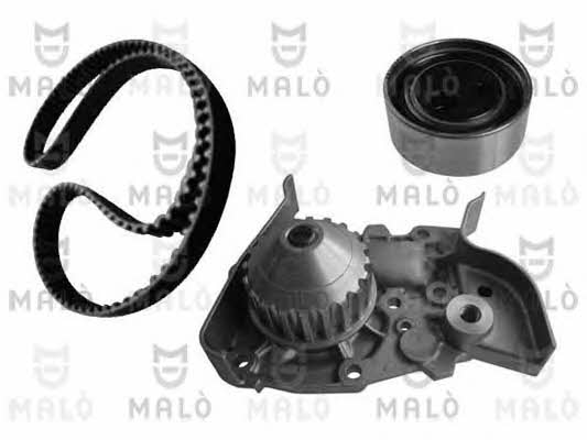 Malo W096170S TIMING BELT KIT WITH WATER PUMP W096170S