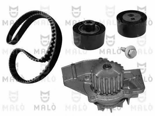 Malo W1144254S TIMING BELT KIT WITH WATER PUMP W1144254S