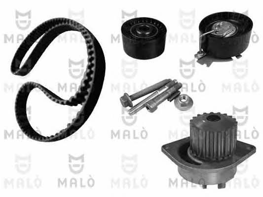 Malo W134254S TIMING BELT KIT WITH WATER PUMP W134254S