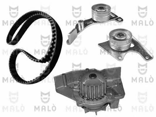 Malo W136254S TIMING BELT KIT WITH WATER PUMP W136254S