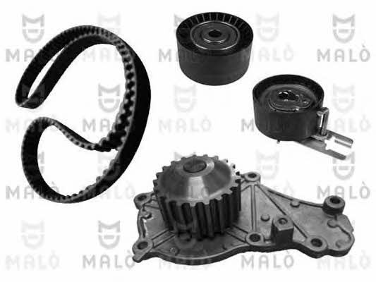Malo W144254S TIMING BELT KIT WITH WATER PUMP W144254S