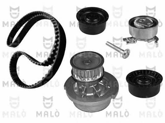 Malo W162200S1 TIMING BELT KIT WITH WATER PUMP W162200S1