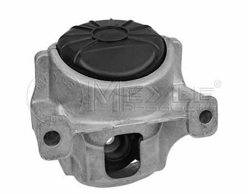 engine-mounting-right-1001991001-21290372