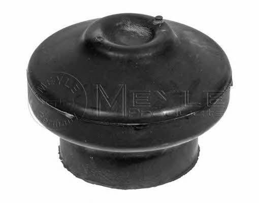 engine-mounting-front-100-199-0078-22649286