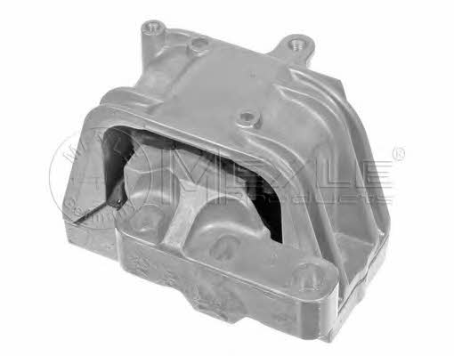 engine-mounting-right-100-199-0112-22650068