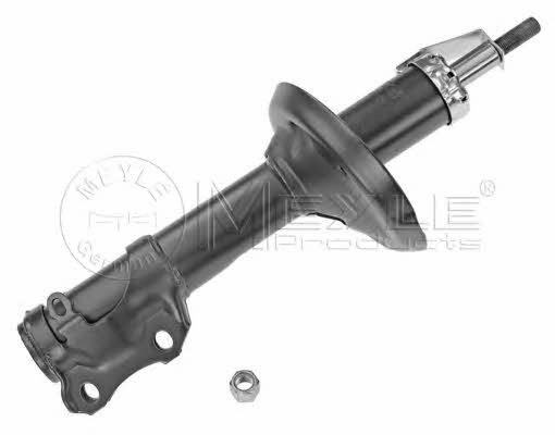front-oil-and-gas-suspension-shock-absorber-126-623-0003-22898025