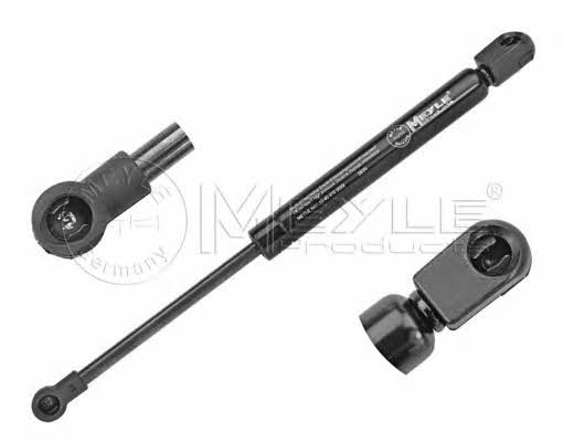 15409100009 Meyle Tailgate strut