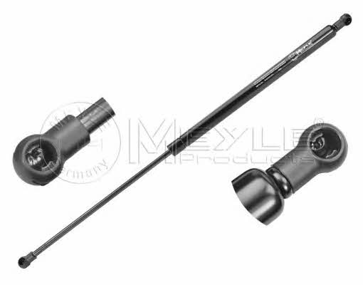 16409100031 Meyle Tailgate strut