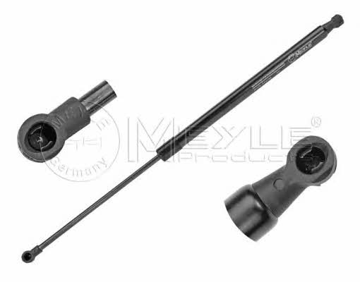Tailgate gas struts Renault Scenic: 16409100036 Meyle Tailgate strut