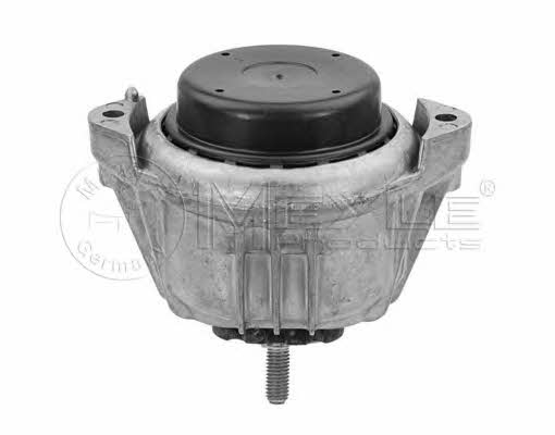 engine-mounting-right-300-221-1115-24316788