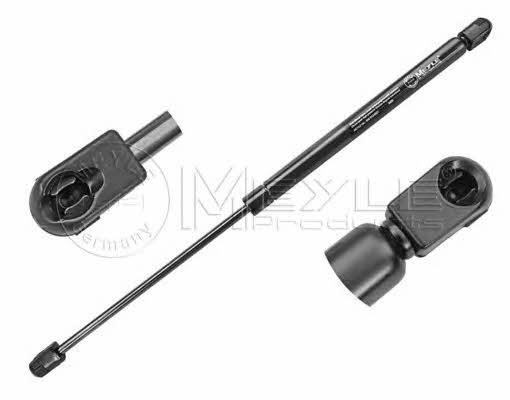 6409100001 Meyle Tailgate strut