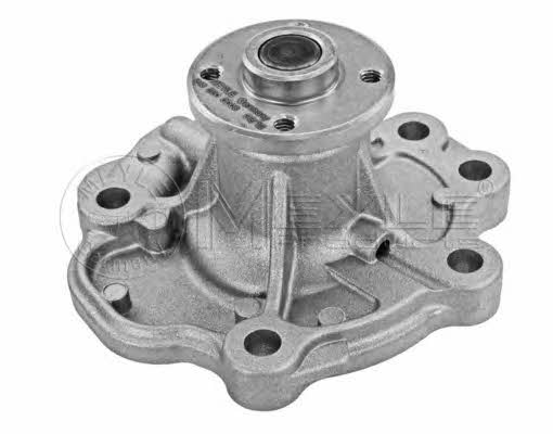 Meyle 613 220 0008 Water pump 6132200008