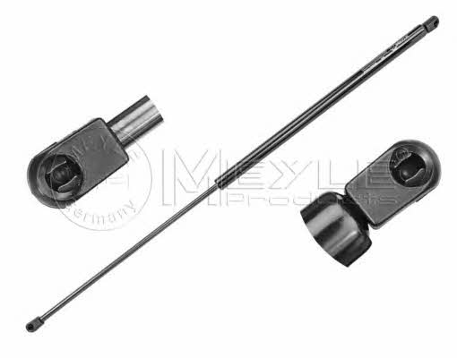 Boot gas struts Ford: 7409100032 Meyle Tailgate strut