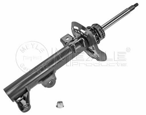 front-oil-and-gas-suspension-shock-absorber-026-623-0016-27377816