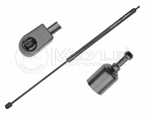 Hood struts Renault Megane: 16409100035 Meyle Hood shock absorber