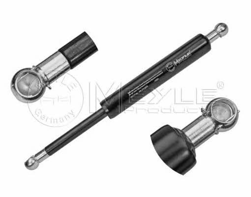 Gas struts Skoda: 0409100003 Meyle Tailgate strut