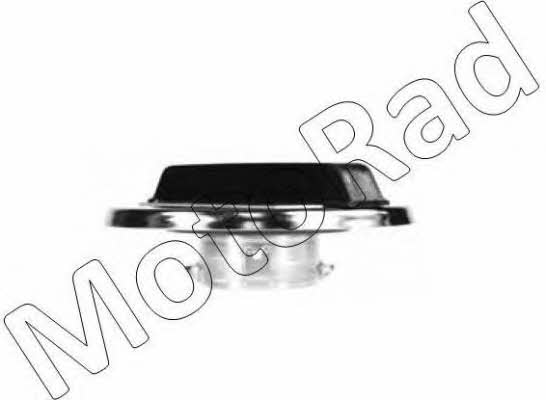 MGC731 MotoRad Fuel Door Assembly