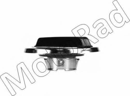 MGC733 MotoRad Fuel Door Assembly