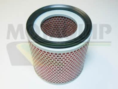 Motorquip VFA662 Air filter VFA662