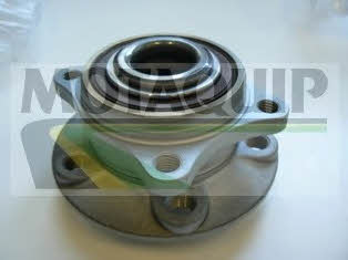 Motorquip VBK1329 Wheel bearing kit VBK1329