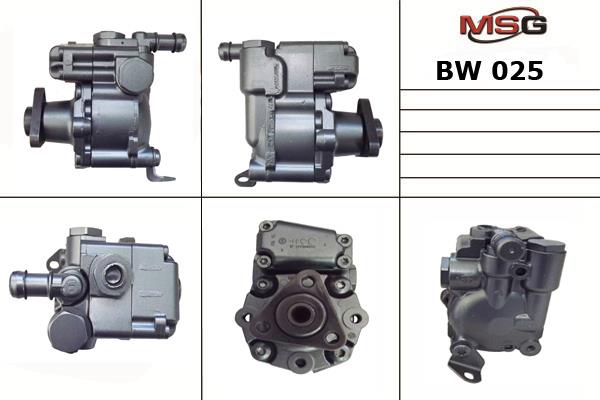 MSG BW025 Hydraulic Pump, steering system BW025