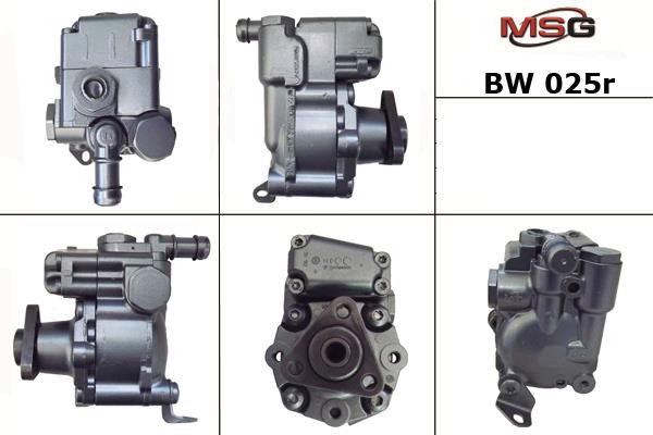 MSG BW025R-ARCH Hydraulic Pump, steering system BW025RARCH