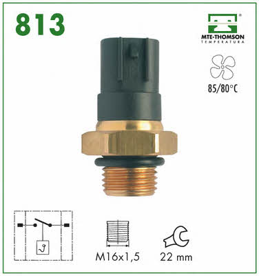 Buy MTE-Thomson 813 at a low price in United Arab Emirates!