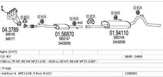  C250003003381 Exhaust system C250003003381