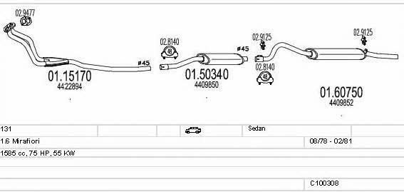  C100308013029 Exhaust system C100308013029