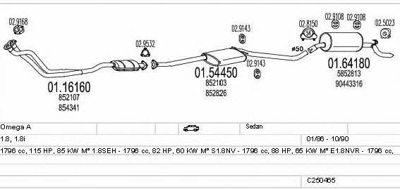  C250465005653 Exhaust system C250465005653