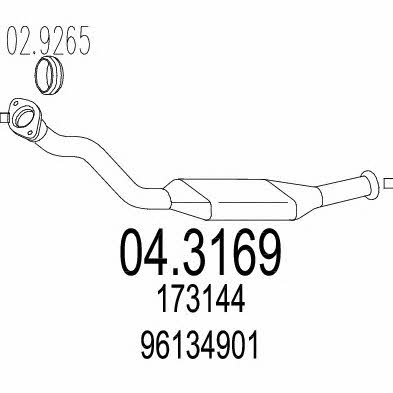 Mts 04.3169 Catalytic Converter 043169