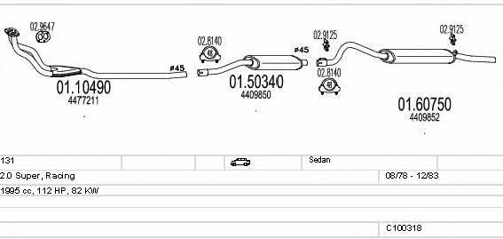  C100318013039 Exhaust system C100318013039