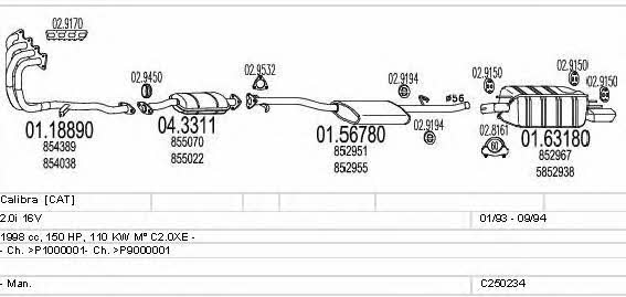  C250234005368 Exhaust system C250234005368