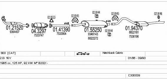  C300039003625 Exhaust system C300039003625