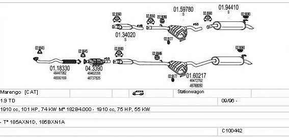  C100442013161 Exhaust system C100442013161