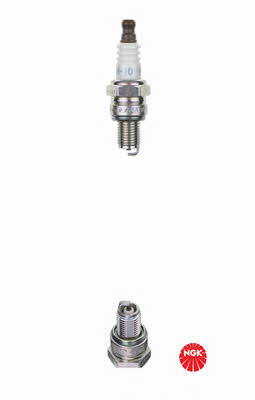 Buy NGK 1656 at a low price in United Arab Emirates!