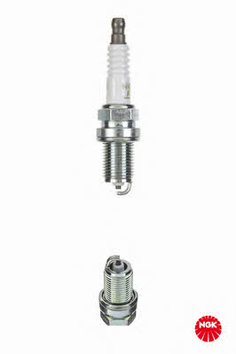 Buy NGK 1662 at a low price in United Arab Emirates!