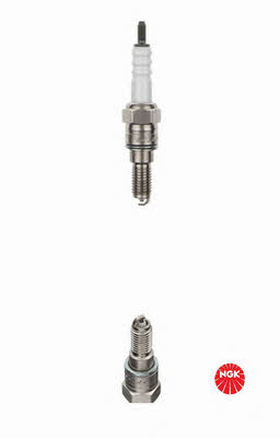 Buy NGK 1673 at a low price in United Arab Emirates!