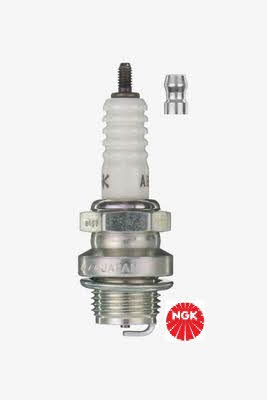 Buy NGK 2910 at a low price in United Arab Emirates!
