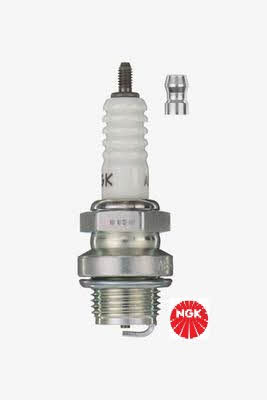 Buy NGK 3010 at a low price in United Arab Emirates!